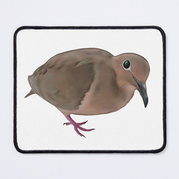 Item preview, mourning dove ! designed and sold by aubtaub64.