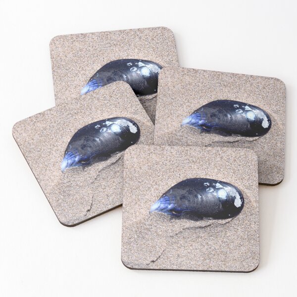 Item preview, shell designed and sold by KathleenDawson.