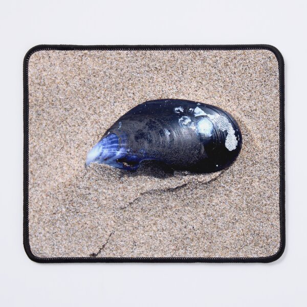 Item preview, shell designed and sold by KathleenDawson.