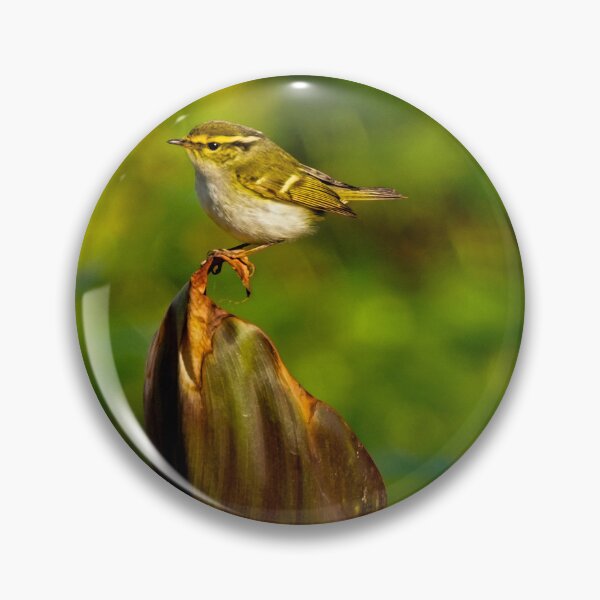 Item preview, Golden Light Perched Forest Warbler designed and sold by Dolpo.