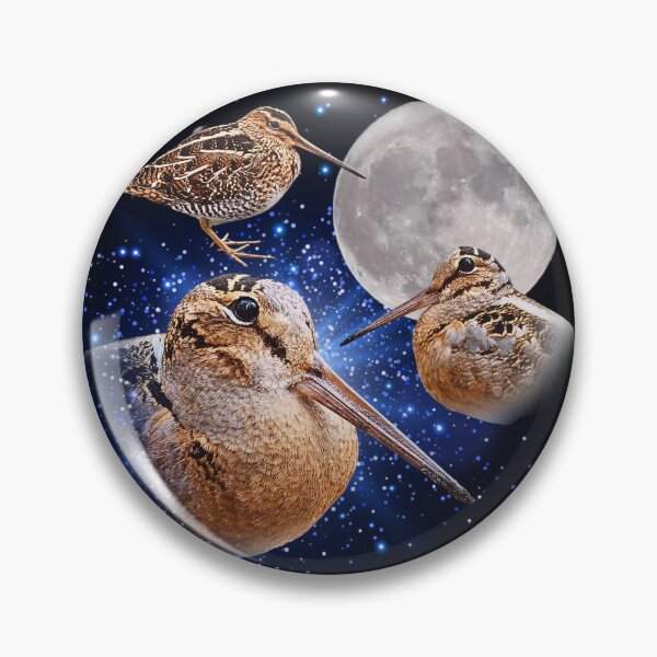 Item preview, Three Meep Bird American Woodcock Moon Vintage designed and sold by JustuKitties.