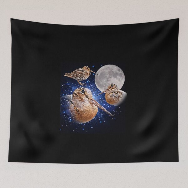 Item preview, Three Meep Bird American Woodcock Moon Vintage designed and sold by JustuKitties.