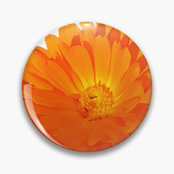 Item preview, Calendula Flower Photography – Golden Bloom  designed and sold by mary02.