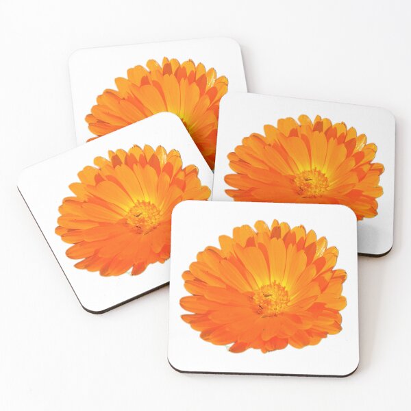 Item preview, Calendula Flower Photography – Golden Bloom  designed and sold by mary02.