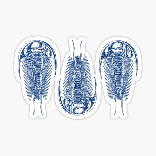 Trilobites by Haeckel Sticker