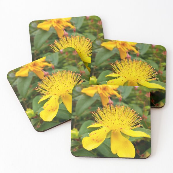 Item preview, Yellow Rose of Sharon Hypericum Flower Bloom designed and sold by Kainicram.