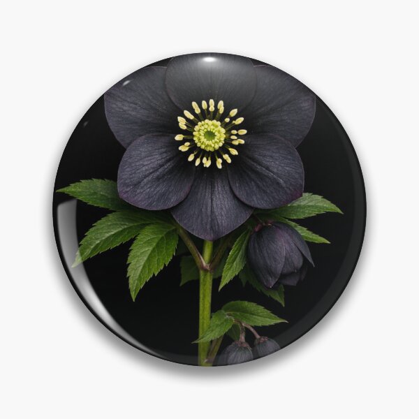 Item preview, Helleborus niger. designed and sold by moths-minor.