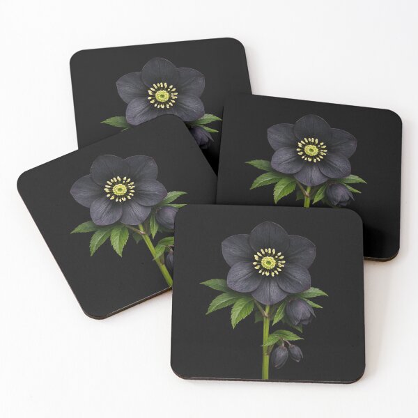 Item preview, Helleborus niger. designed and sold by moths-minor.