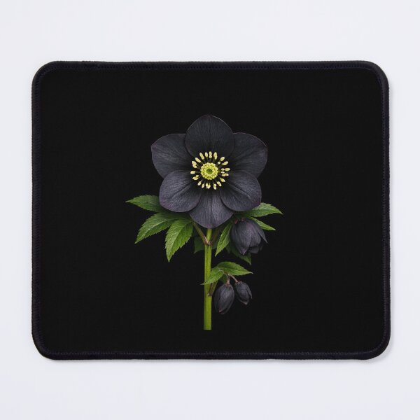 Item preview, Helleborus niger. designed and sold by moths-minor.