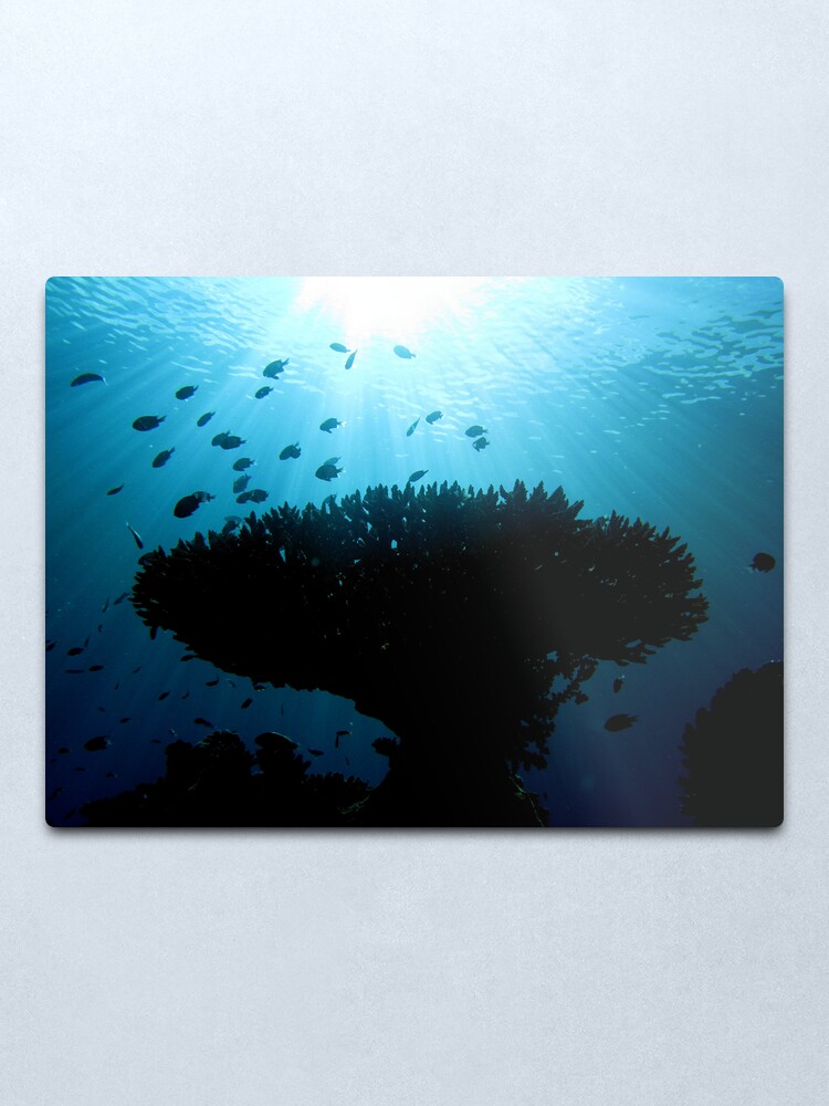 Alternate view of Nivani Silhouette Metal Print