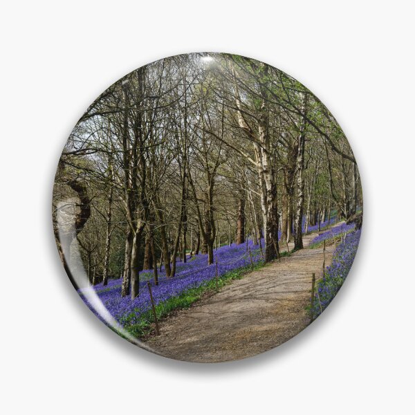 Item preview, Bluebells at Ide Hill Kent UK designed and sold by John Gilham - Landscape Photography.