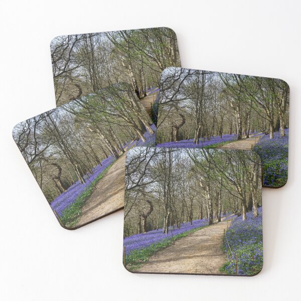Item preview, Bluebells at Ide Hill Kent UK designed and sold by John Gilham - Landscape Photography.