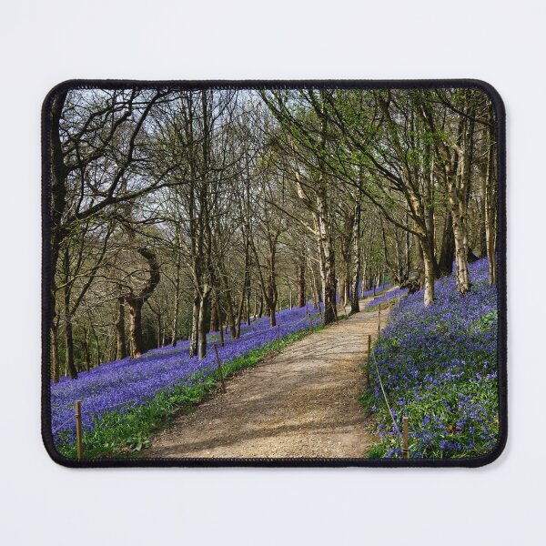 Item preview, Bluebells at Ide Hill Kent UK designed and sold by John Gilham - Landscape Photography.