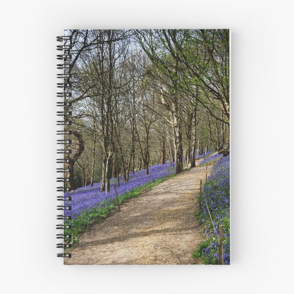 Item preview, Bluebells at Ide Hill Kent UK designed and sold by John Gilham - Landscape Photography.