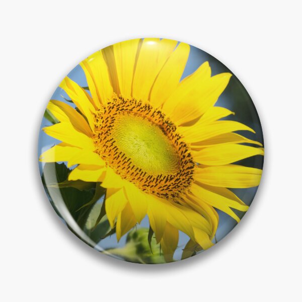 Item preview, Sunshiny Yellow Sunflower in Bloom designed and sold by Georgia Mizuleva.