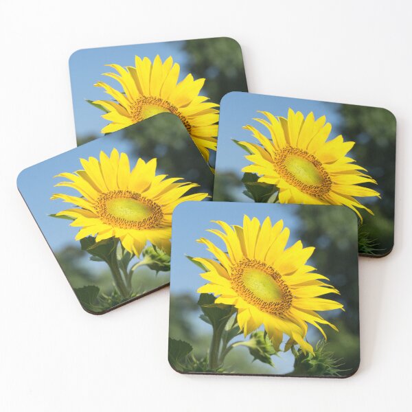 Item preview, Sunshiny Yellow Sunflower in Bloom designed and sold by Georgia Mizuleva.