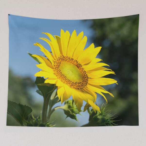 Item preview, Sunshiny Yellow Sunflower in Bloom designed and sold by Georgia Mizuleva.