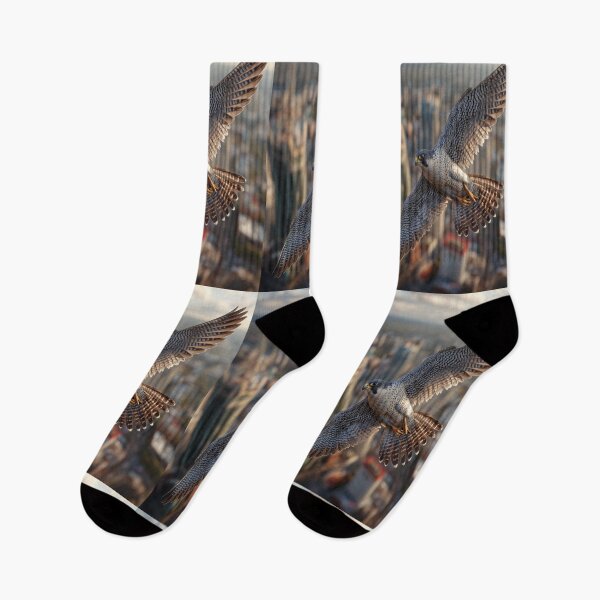 Item preview, A Peregrine Falcon mid-dive over a city skyline, Birds in Motion designed and sold by CDC40.