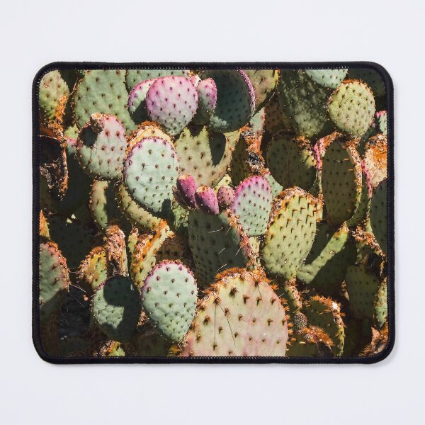 Item preview, Cactus Bloom designed and sold by jshuphotography.