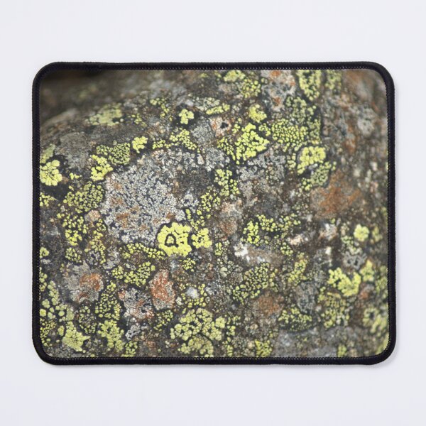 Item preview, Stone designed and sold by 123-Hopp.