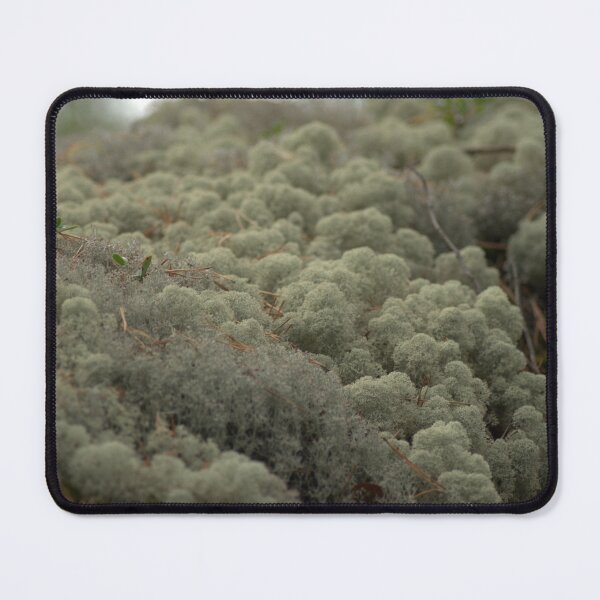 Item preview, lichen designed and sold by 123-Hopp.