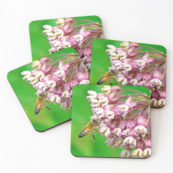 Item preview, Honeybee on Milkweed Flowers, Flora and Fauna Symbiosis designed and sold by AMacGPhilly.