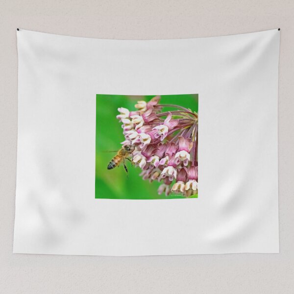 Item preview, Abeja melífera en las flores de algodoncillo, simbiosis de flora y fauna designed and sold by AMacGPhilly.