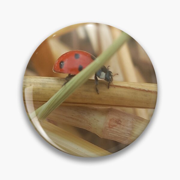 Item preview, Ladybug in Straw  Nature Photography Rustic Scene designed and sold by AndaBast.