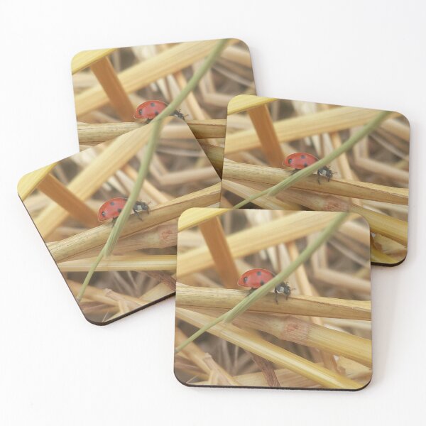 Item preview, Ladybug in Straw  Nature Photography Rustic Scene designed and sold by AndaBast.