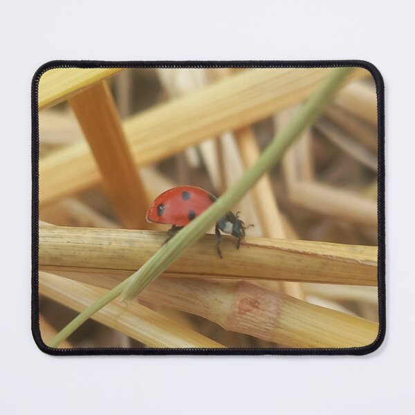 Item preview, Ladybug in Straw  Nature Photography Rustic Scene designed and sold by AndaBast.