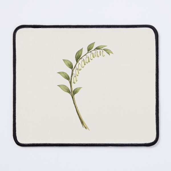 Item preview, Solomon’s Seal – Minimalist Botanical Illustration designed and sold by Ombrya.