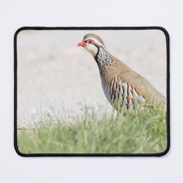 Item preview, Red Legged Partridge designed and sold by LaurenTucker.