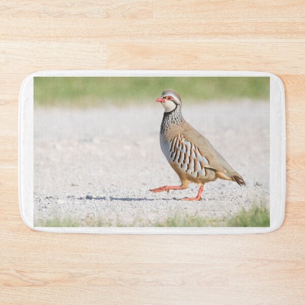 Item preview, Red Legged Partridge designed and sold by LaurenTucker.
