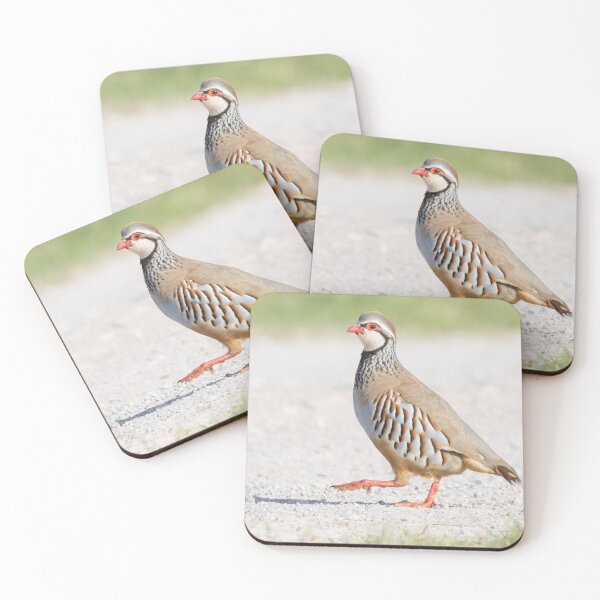 Item preview, Red Legged Partridge designed and sold by LaurenTucker.