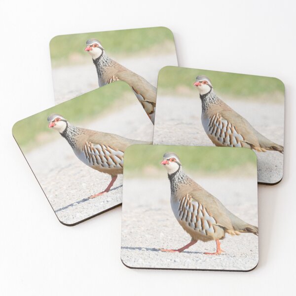 Item preview, Red Legged Partridge designed and sold by LaurenTucker.