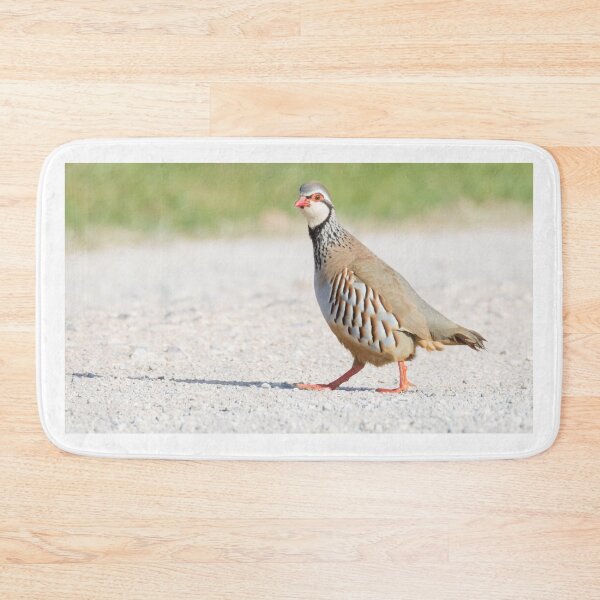 Item preview, Red Legged Partridge designed and sold by LaurenTucker.