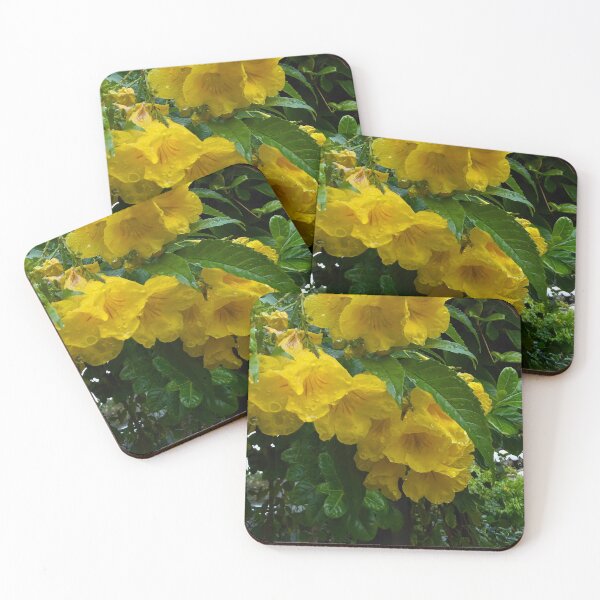 Item preview, Grand Cayman Yellow Elder Flowers designed and sold by Jen Dean Brown.