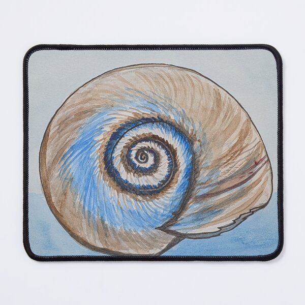 Item preview, Shark eye shell  designed and sold by Matt Starr Fine Art .