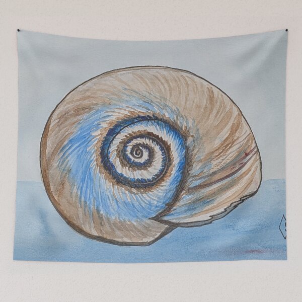 Item preview, Shark eye shell  designed and sold by Matt Starr Fine Art .