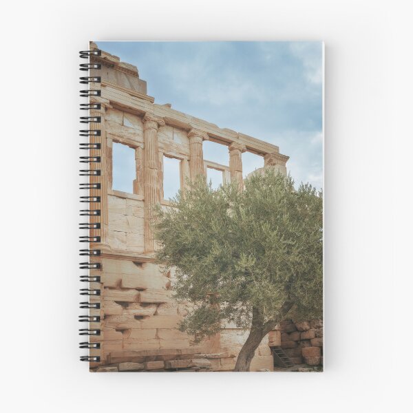 Item preview, Famous Olive Tree at the Acropolis designed and sold by PhotoArt by Joan Carroll.