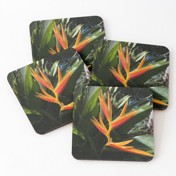 Item preview, Grand Cayman Tropical Parakeet Flower. designed and sold by Jen Dean Brown.