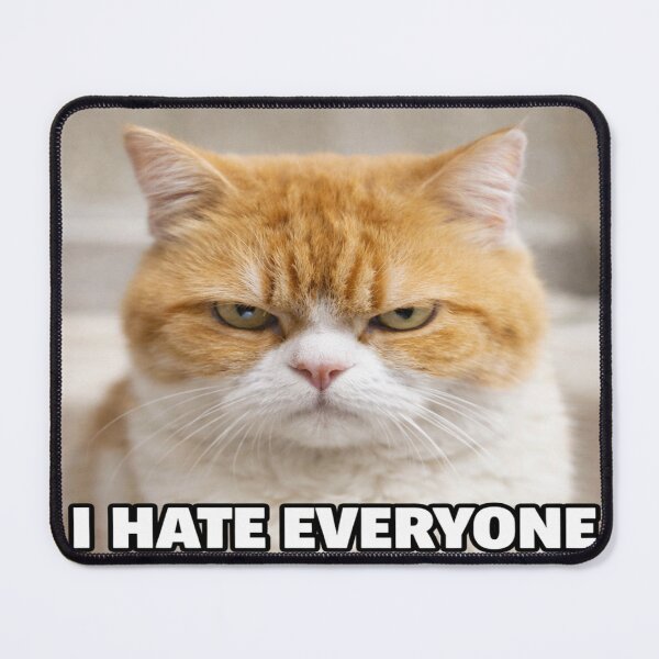 Item preview, Current Mood Cat – I Hate Everyone Funny Meme Sticker designed and sold by SSVSTICKERS.