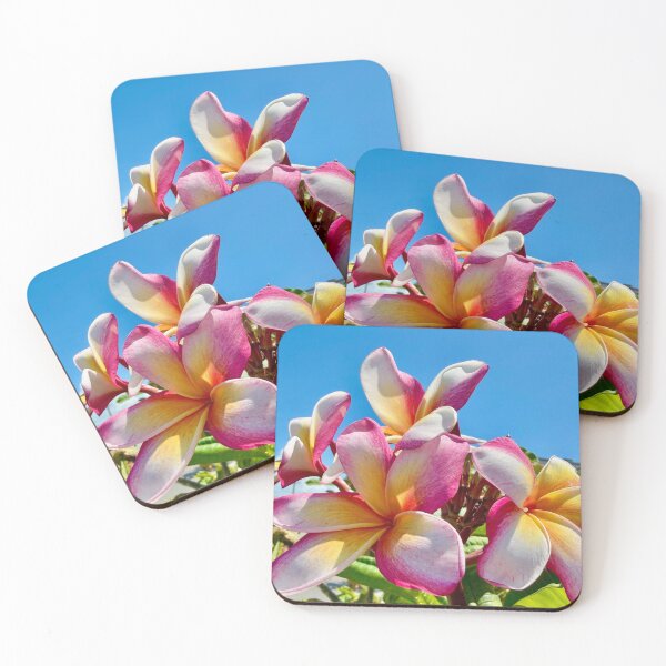 Item preview, Grand Cayman Plumeria. designed and sold by Jen Dean Brown.