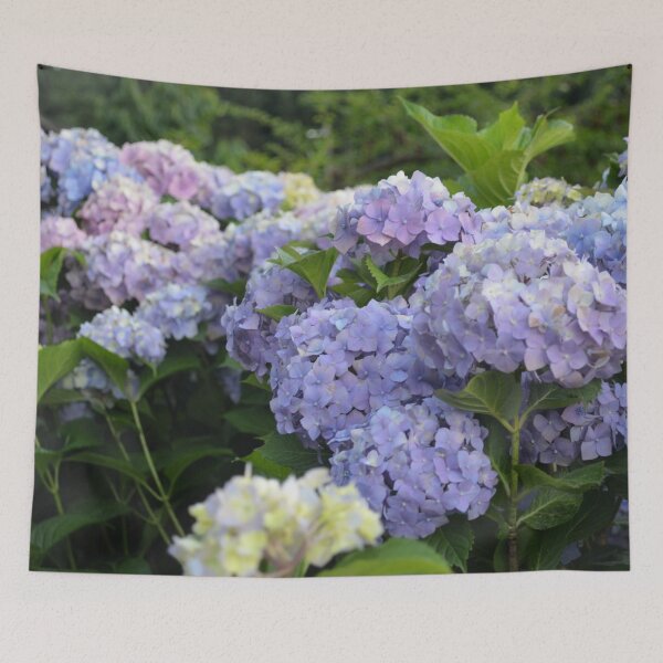 Item preview, Pastel purple Hortensia hydrangea flowering bush designed and sold by Lily Rose Doodle.