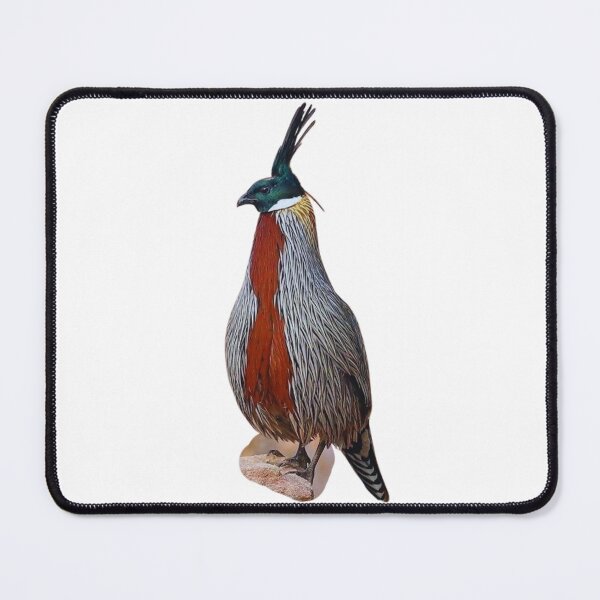 Item preview, Koklass pheasant of Pakistan designed and sold by di-Vera-Rosati.