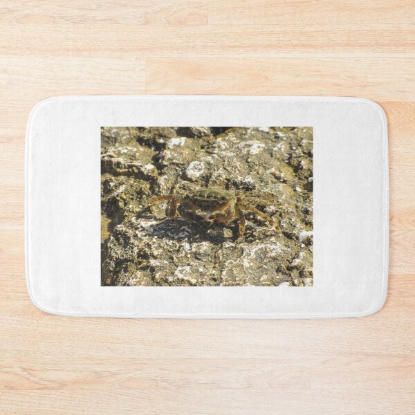Item preview, Small Green Shore Crab On Rocky Tidepool Rock In Bright Sunlight Coastal Close-Up designed and sold by Nmallia.