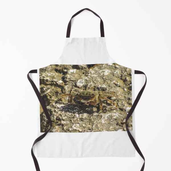 Item preview, Small Green Shore Crab On Rocky Tidepool Rock In Bright Sunlight Coastal Close-Up designed and sold by Nmallia.