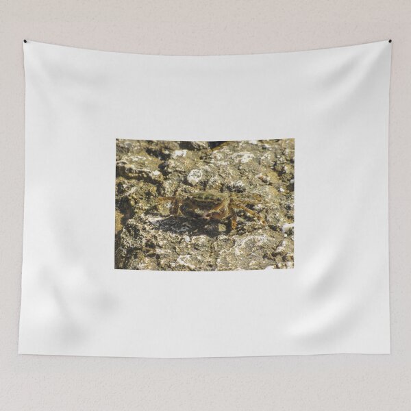 Item preview, Small Green Shore Crab On Rocky Tidepool Rock In Bright Sunlight Coastal Close-Up designed and sold by Nmallia.