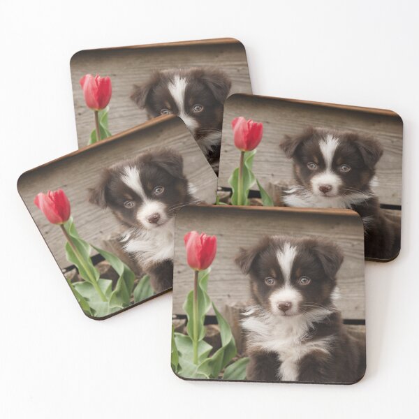 Item preview, A Gentle Soul in Bloom designed and sold by MeghanLynnPhotography.