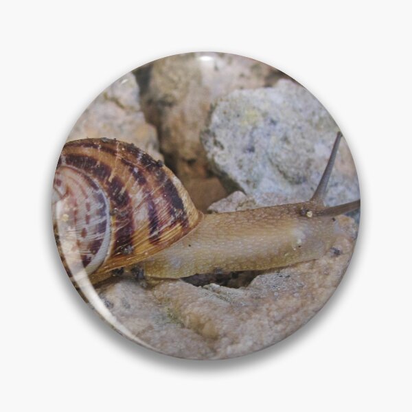 Item preview, Garden Snail Crawling Across Sunlit Rocky Surface With Spiral Brown Shell Close-Up designed and sold by Nmallia.